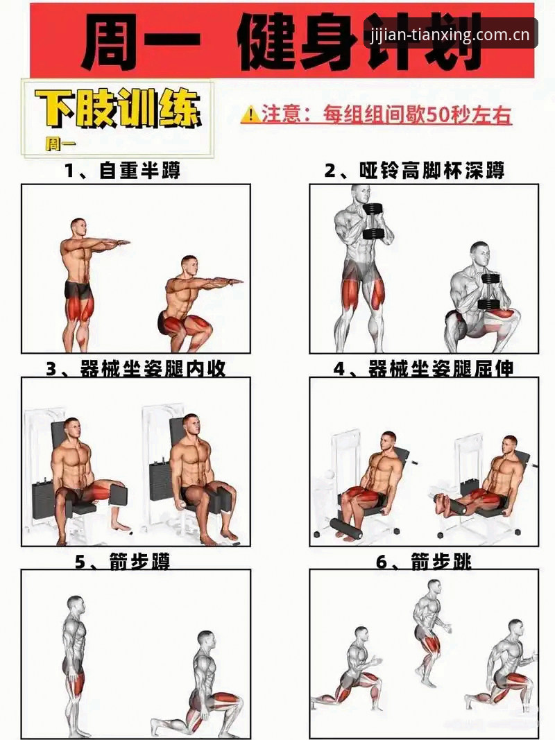 天行体育用户进阶实用指南：从新手到达人的必备技巧